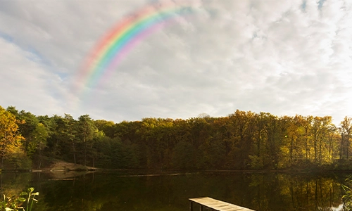 The Rainbow Challenge That Will Change Your Life