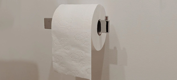 History-of-Toilet-Paper