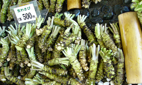 Real-Wasabi-so-Expensive