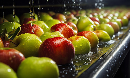 How-are-Apples-Stored-Commercially