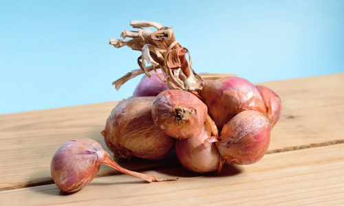 Greece-Hanging-Onions