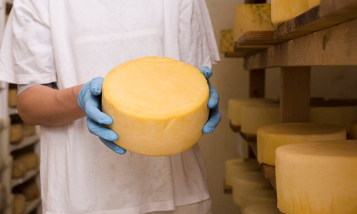 Cheese-Factory