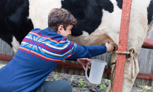 Milking-Another-Person’s-Cow