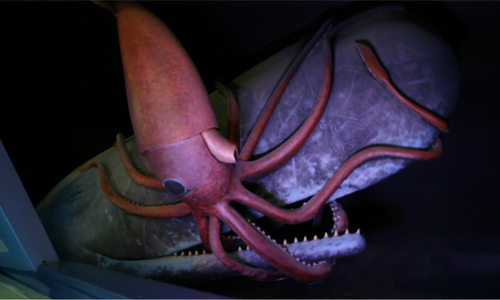 Giant Squid