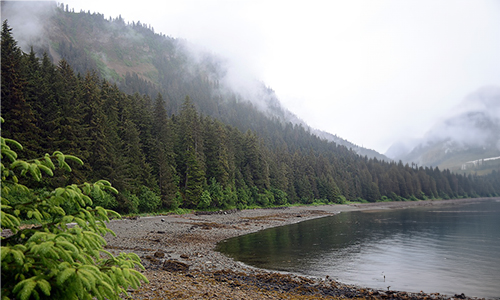 Longest Coastline