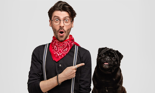 Make faces at dogs