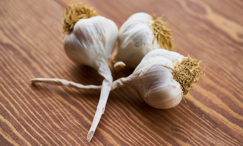 Use-Garlic