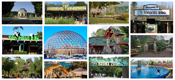 Best Zoos in the World