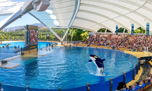 Loro Parque