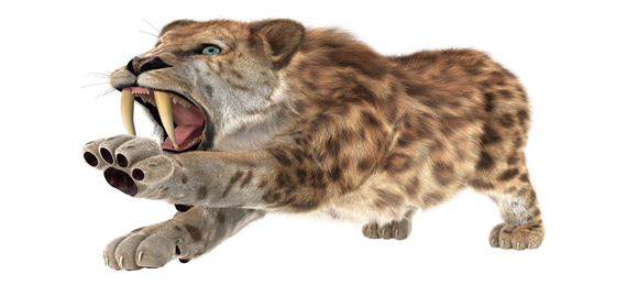 The Saber-Tooth Tiger