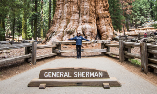 General-Sherman