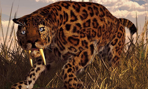 The Steely Saber-Tooth Tiger