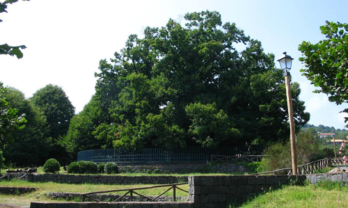 Chestnut-Trees-of-One-hundred-Horses