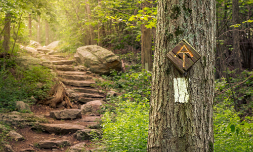 Appalachian Trails & Adventures