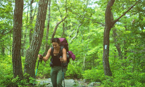 Exciting Day Hikes