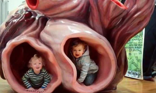 heart-of-a-blue-whale