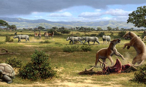 Saber-Tooth Tigers Lived in the Oligocene Epoch