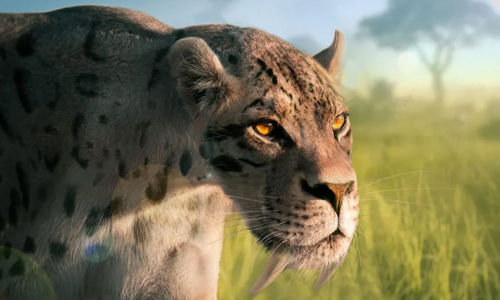 Nature of the saber-Tooth Tiger