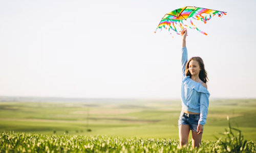 No-Flying-Kites-in-Lincoln