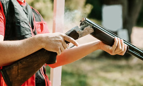 Delaware’s Gun Laws