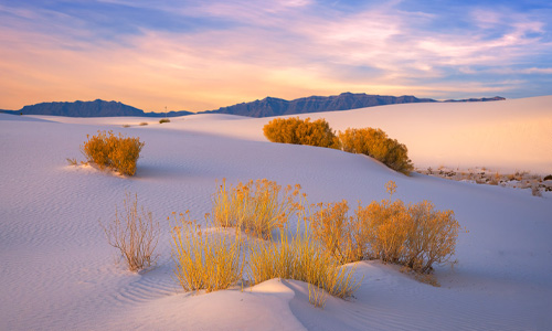 Best Times to Capture the Dune