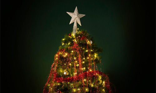 Star Tree Topper