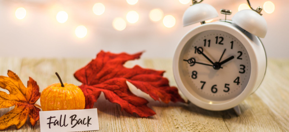 Daylight Saving Time Fall Back