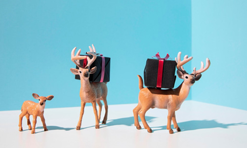 Tiny Animals