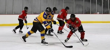 Interesting facts about Ice Hockey