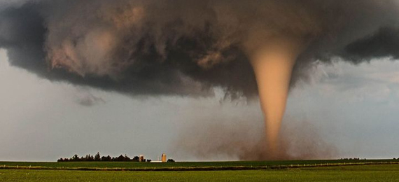 Texas Tornado Trivia: Only the Bold Will Survive