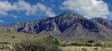 Try to Crack this Guadalupe Mountains National Park Trivia
