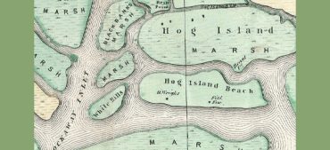 Hog Island Quiz: 15 Interesting Questions and Answers