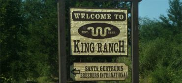King Ranch Texas Quiz: How Well Do You Know America’s Largest Ranch?