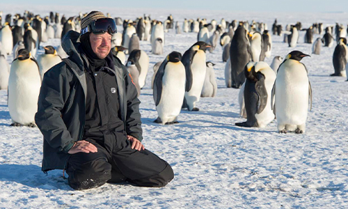 A man sitting with a group of penguins