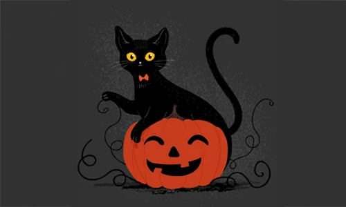 The Black Cat Curse