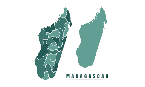 Picture of a Madagascar company