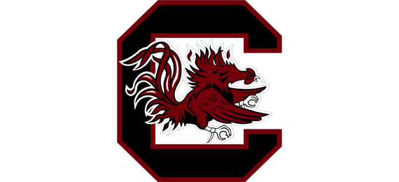 Amazing Trivia About the South Carolina Gamecock Baseball Team
