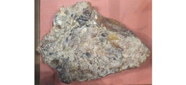 Ambergris Facts: Unveiling the Secrets of the Ocean’s Floating Gold