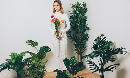 Plants Can Lose a Portion of Their Body