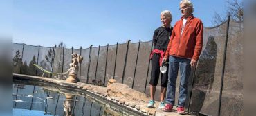 Couple Survived California Wildfire by Hiding in a Pool