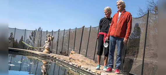 Couple Survived California Wildfire by Hiding in a Pool