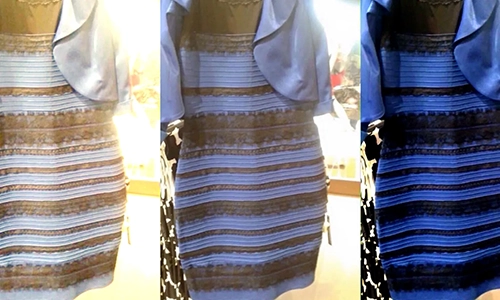 The Dress Phenomenon