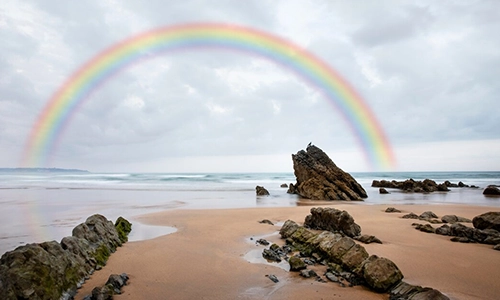 Surprising Rainbow Facts That Will Amaze You