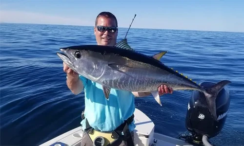 How Fast Can a Tuna Swim
