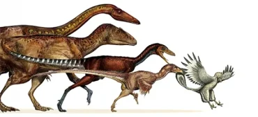 Are Birds Dinosaurs? The Mind-Blowing Truth Nobody Told You