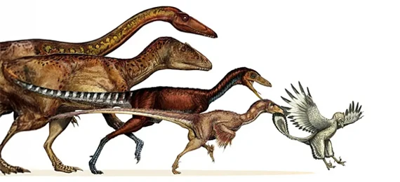 Are Birds Dinosaurs? The Mind-Blowing Truth Nobody Told You