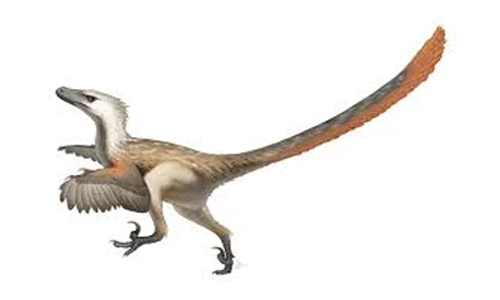 Birds ARE Dinosaurs