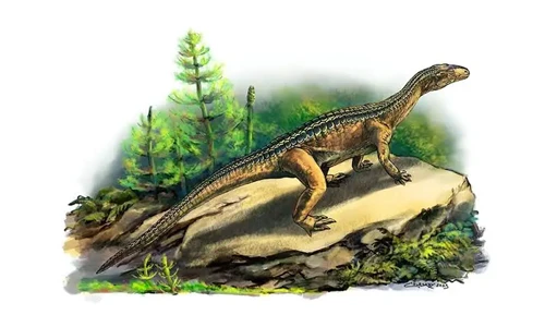 But What About Other Reptiles