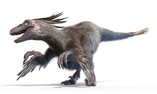 Feathered Dinosaurs