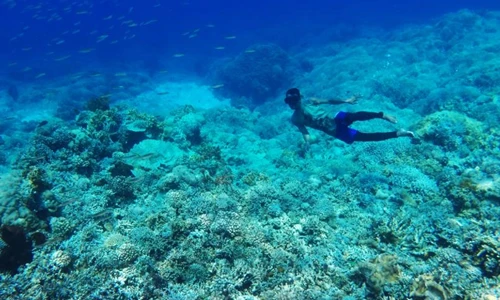Bajau Lifestyle No Nation, No Land, Just Ocean